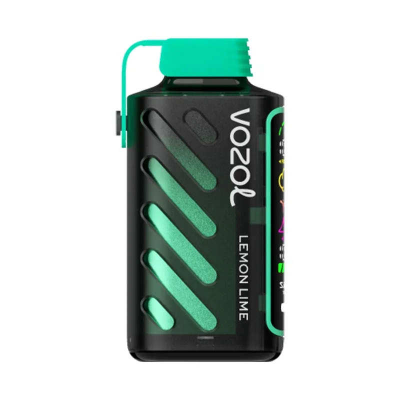 VOZOL-GEAR-POWER-20000